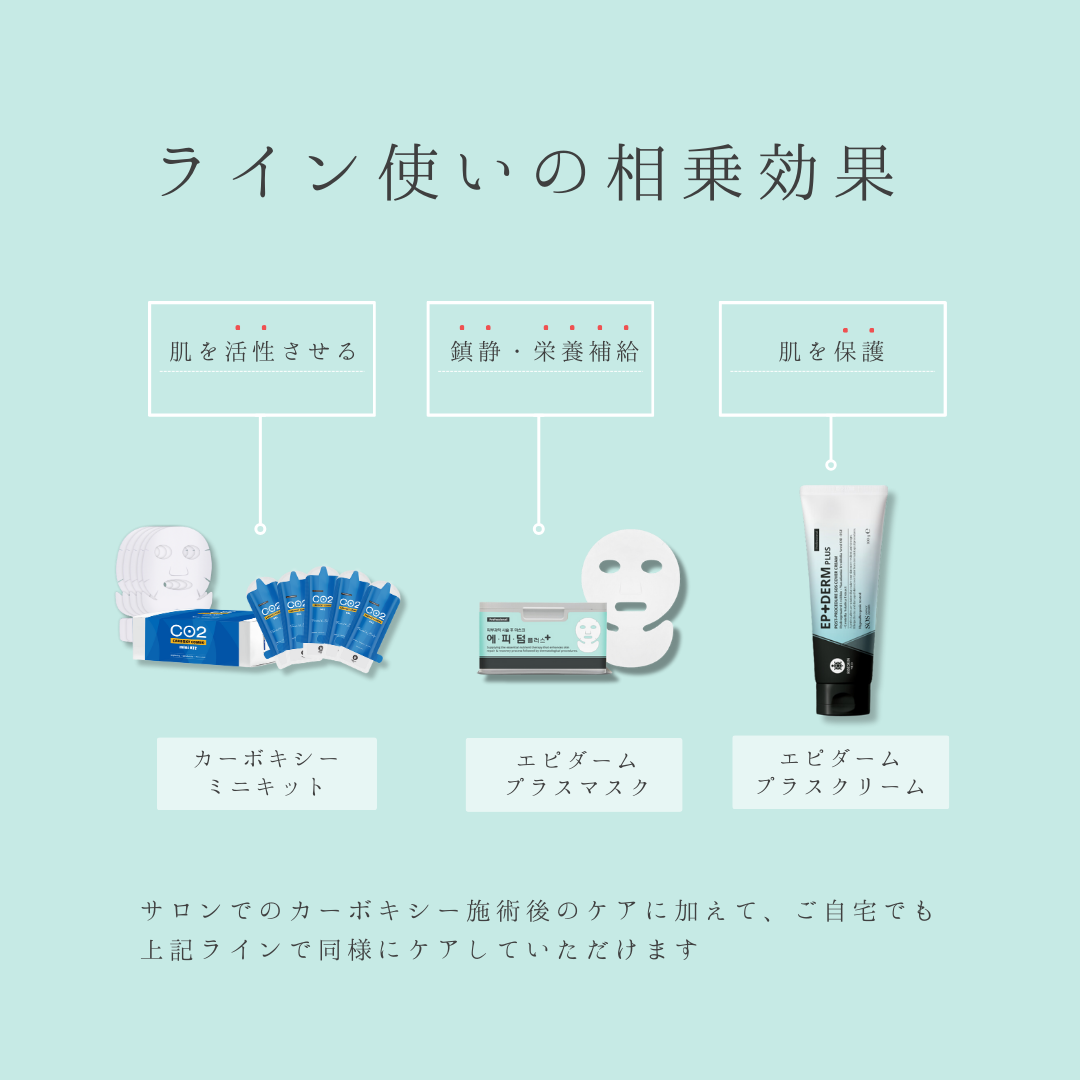 【RIBESKIN】エピダームプラスマスク(25枚入り)