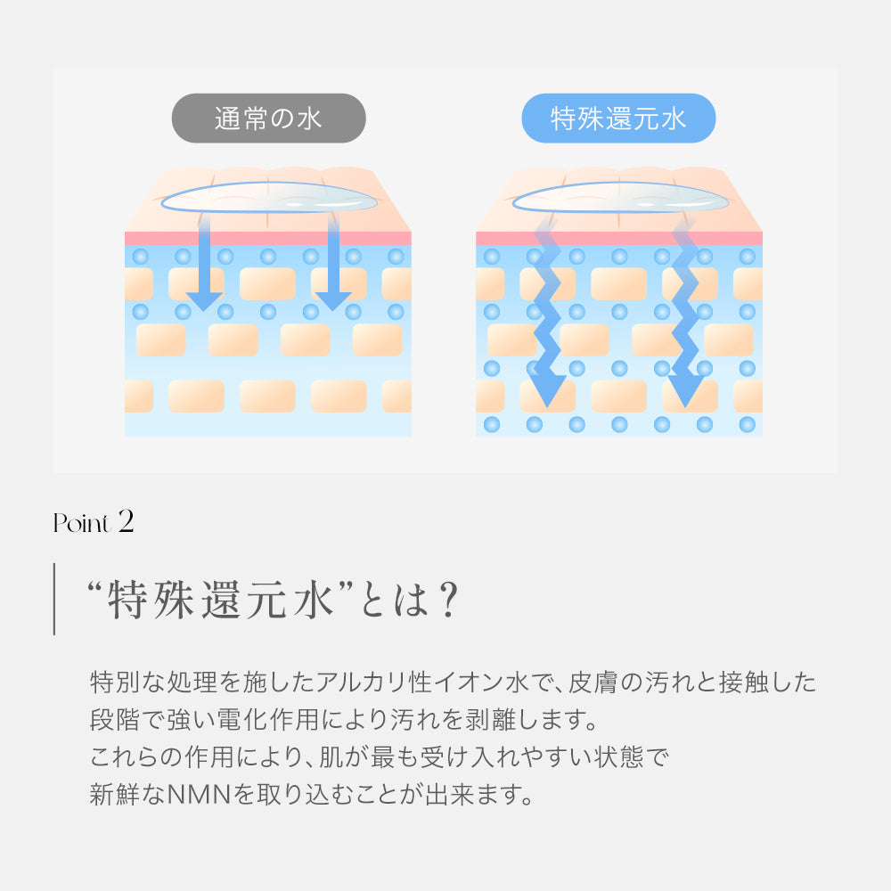 NMN フレッシュファイバーブースター