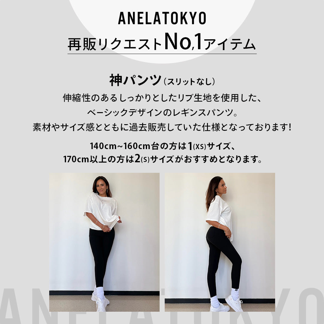 ANELATOKYO 10th Anniversary BAG